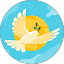ACL Avatar